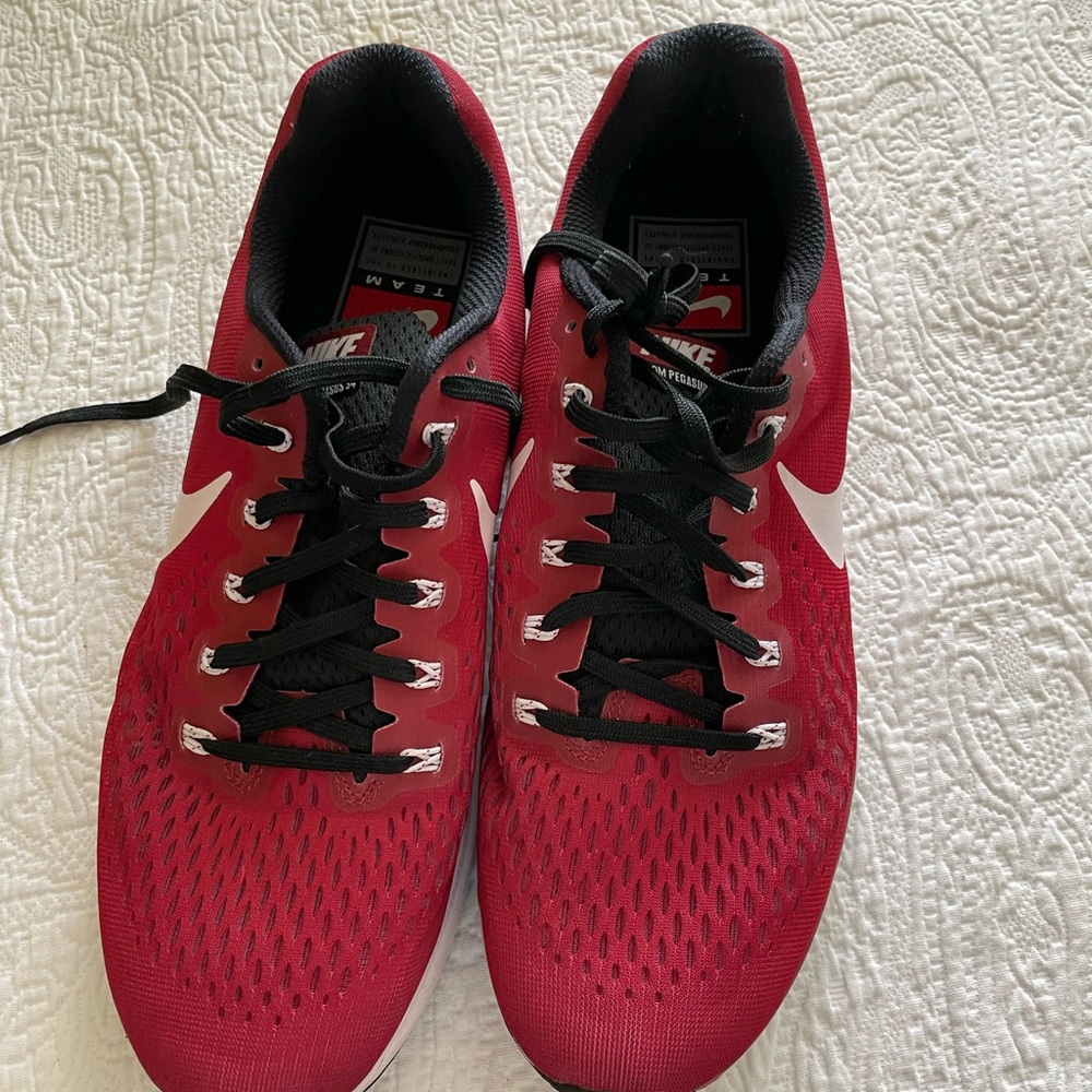 Nike Pegasus Mens Shoes  10.5